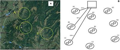 Variation of Small and Large Wild Bee Communities Under Honeybee Pressure in Highly Diverse <mark class="highlighted">Natural Habitats</mark>